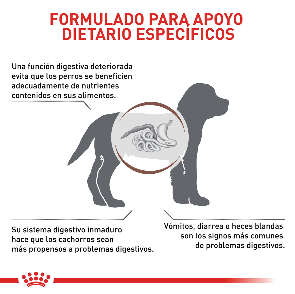 ROYAL CANIN VHN GASTROINTESTINAL PUPPY DOG 2,5 KG