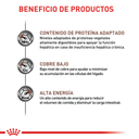 ROYAL CANIN VHN HEPATIC DOG 3,5 KG