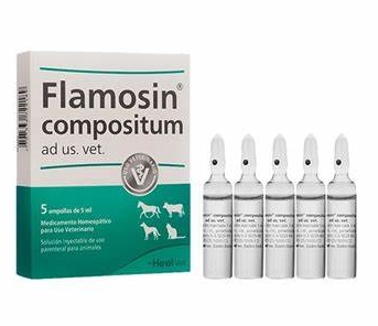 FLAMOSIN AMPOLLA X 5 ML