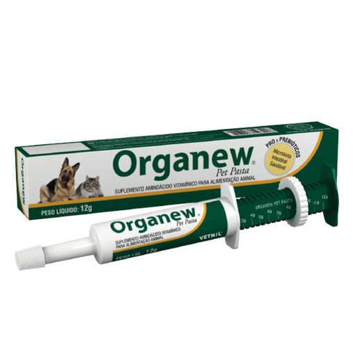 [1FA-0138] ORGANEW PASTA X 12 G