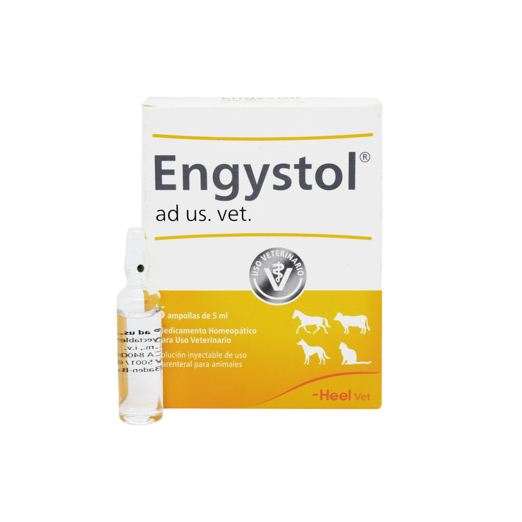 ENGYSTOL AMPOLLA X 1,1 ML