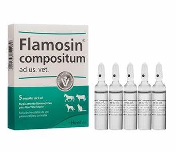 FLAMOSIN COMPOSITUM AMPOLLA X 5 ML