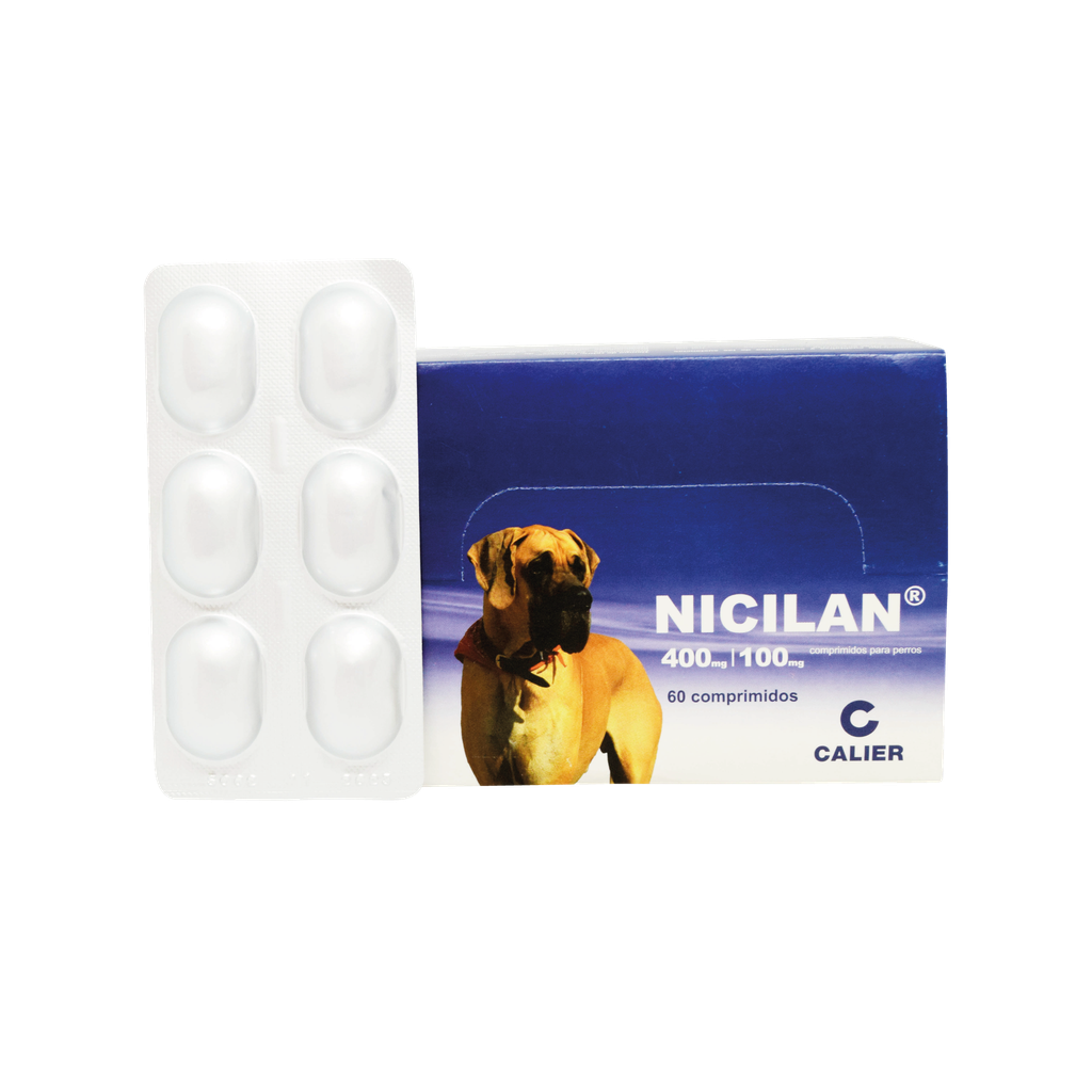NICILAN 400/100 BLISTER X 6 TABLETAS