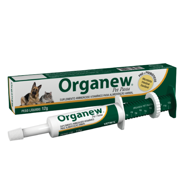 ORGANEW PASTA X 12 G