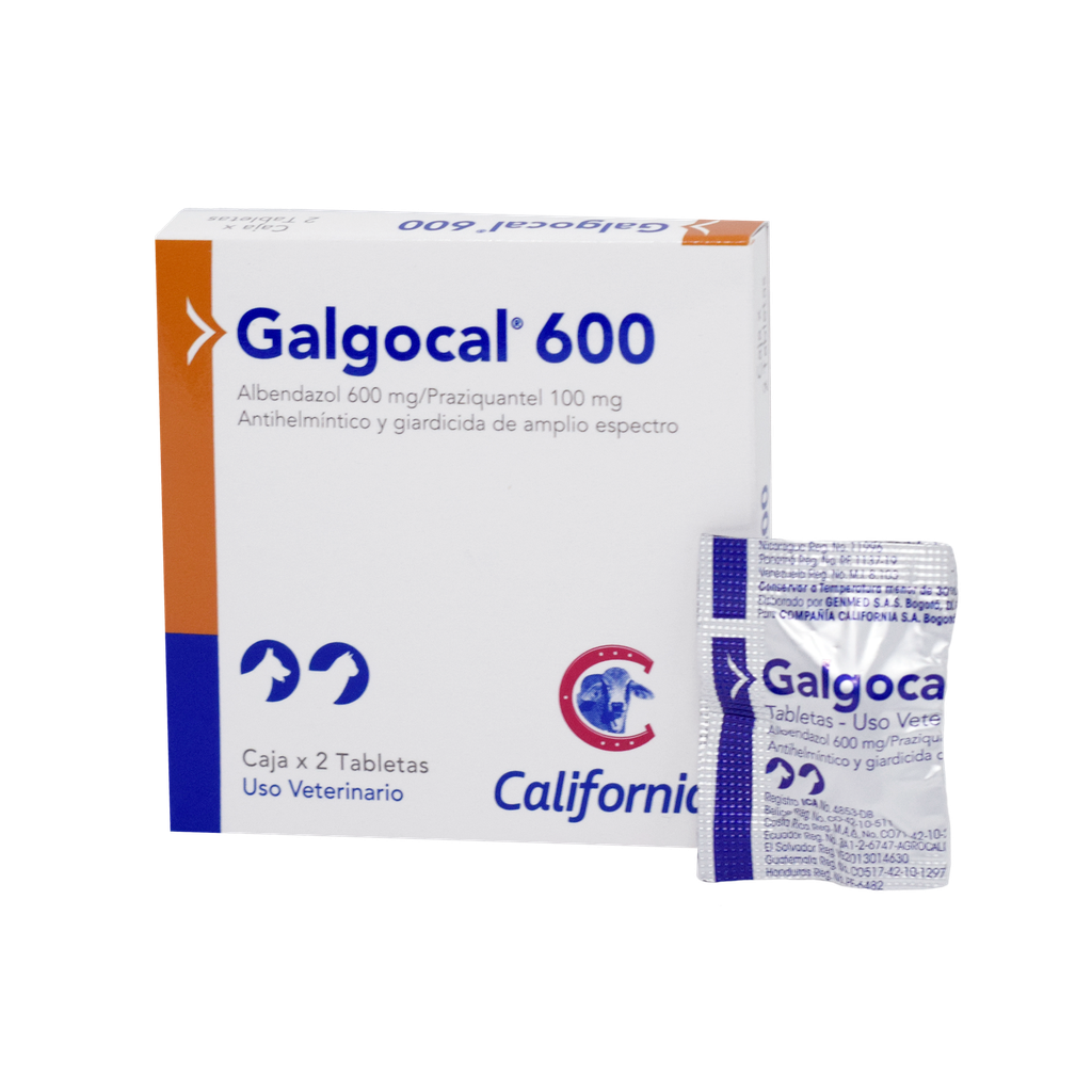 GALGOCAL 600 CAJA X 2 TABLETAS