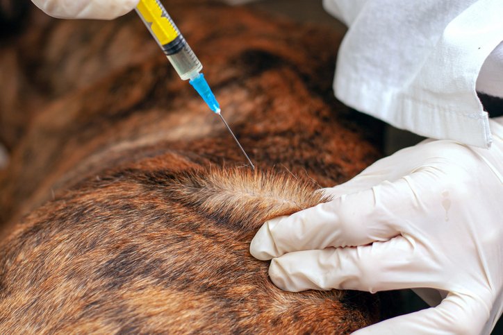 SERVICIO DE INYECTOLOGIA-