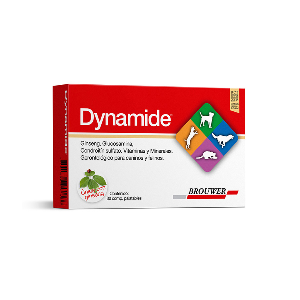 DYNAMIDE BLISTER X 6 TABLETAS