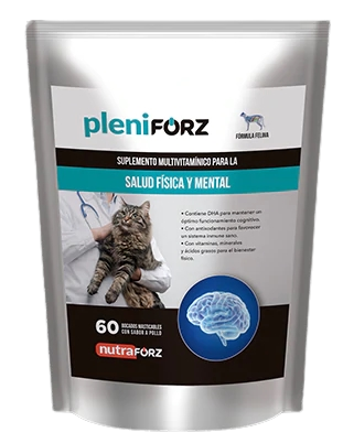 PLENIFORZ FELINO NUGGETS