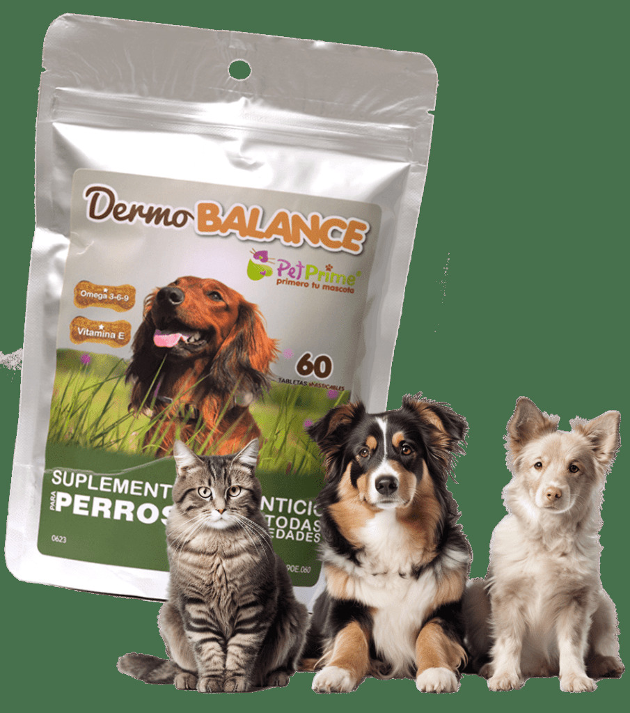 DERMO BALANCE BOLSA X 60 TABLETAS