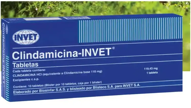 CLINDAMICINA 110 MG X 10 TABLETAS