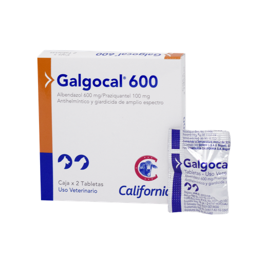 [2DE-0003] GALGOCAL 600 CAJA X 2 TABLETAS